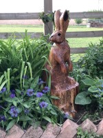 g. Sitting Hare.jpg